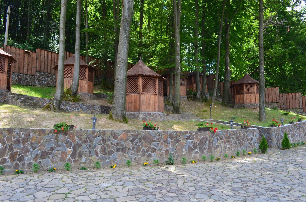 Hotel Sadyba Sribne Dzherelo à Ilnytsya Extérieur photo
