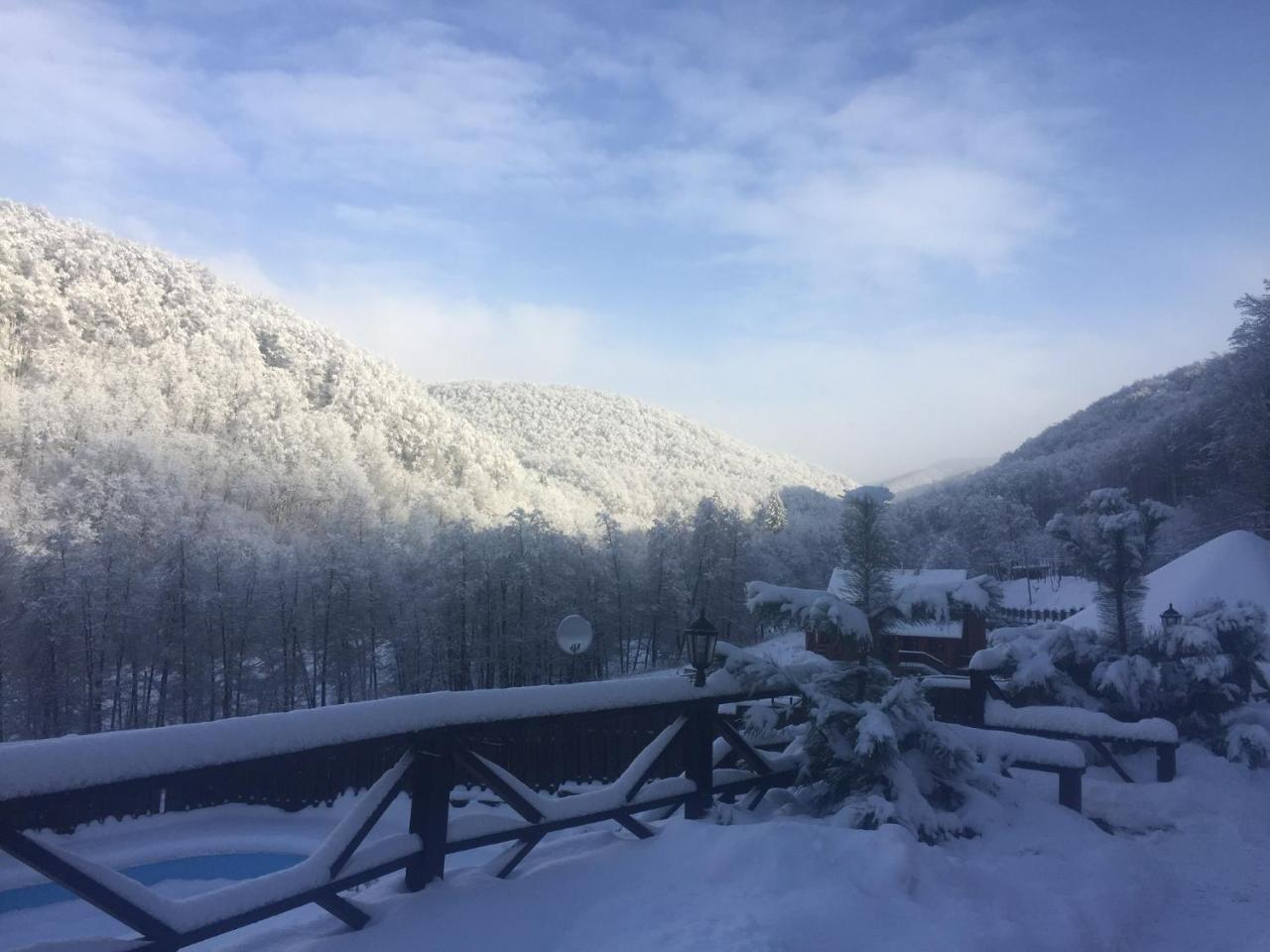 Hotel Sadyba Sribne Dzherelo à Ilnytsya Extérieur photo